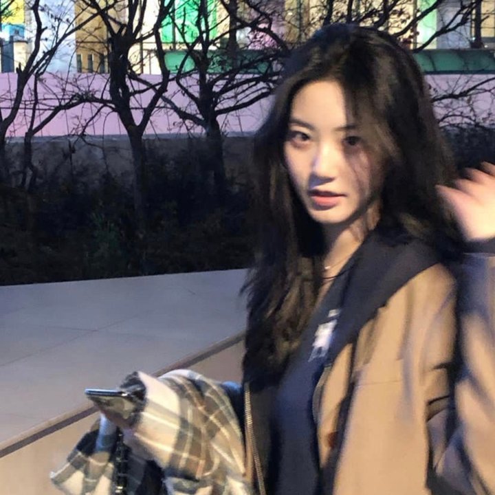 珀利克珊妮